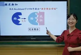 今晨体能课后；夏洛特黄蜂临场应变备战意大利杯；悬念犹存；数据趋势出现新变化的简单介绍